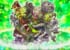 【8/1モンストニュース最新まとめ】お品書きと見所まとめ！！『シェイクスピア獣神化』『新限定3体キャラ』『新爆絶』など内容モリモリ！