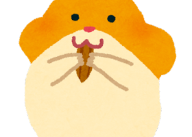 【朗報】2倍ノマで神編成周回が楽すぎｗｗｗ 100%安定がコチラｗｗｗ